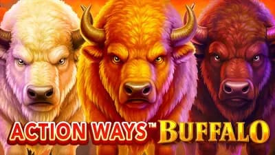 Action Ways Buffalo