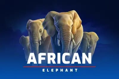 African Elephant