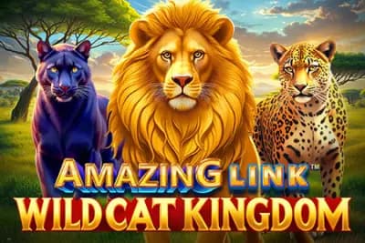Amazing Link WildCat Kingdom