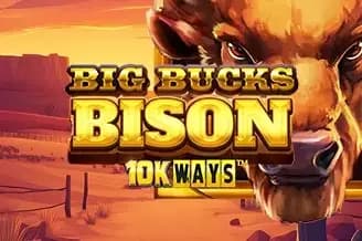 Big Bucks Bison 10K Ways
