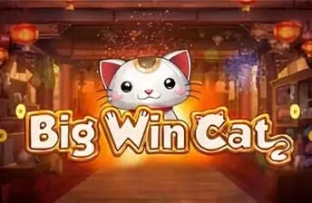Big Win Cat