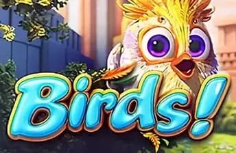 Birds!
