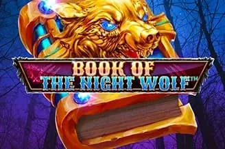 Book of the Night Wolf