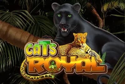 Cats Royal