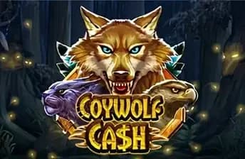 Coywolf Cash