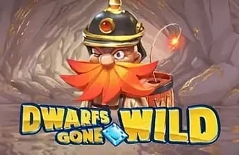 Dwarfs Gone Wild