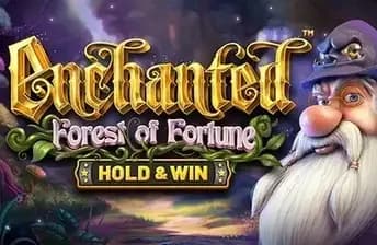 Enchanted: Forest of Fortune