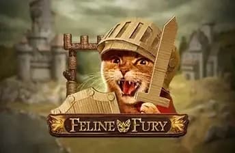 Feline Fury