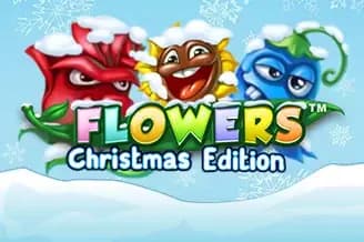 Flowers Christmas Edition