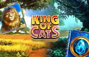 King of Cats