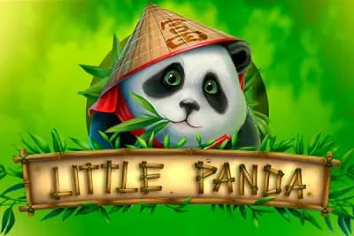 Little Panda