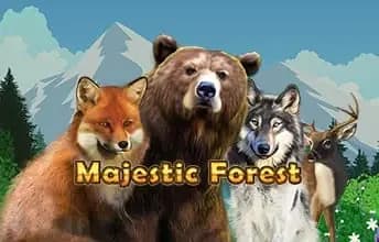 Majestic Forest
