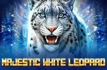 Majestic White Leopard