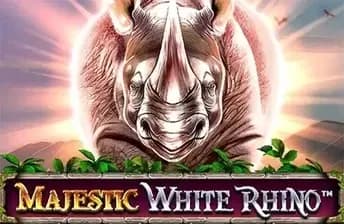 Majestic White Rhino