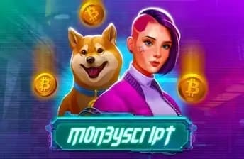 MoneyScript