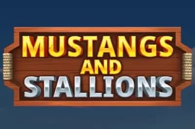 Mustangs and Stallions
