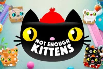Not Enough Kittens