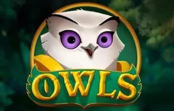 Owls