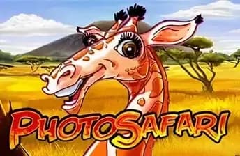 Photo Safari
