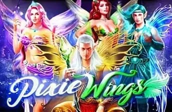 Pixie Wings