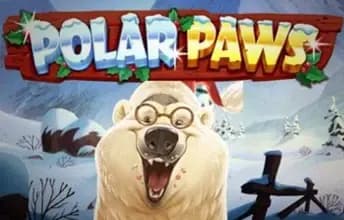 Polar Paws