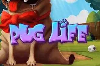 Pug Life