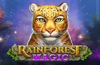 Rainforest Magic