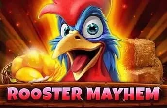 Rooster Mayhem