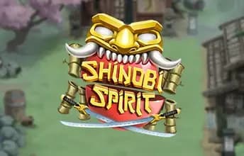 Shinobi Spirit