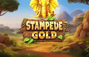 Stampede Gold