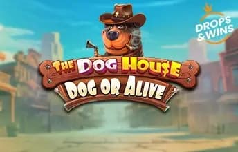 The Dog House - Dog or Alive