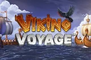 Viking Voyage