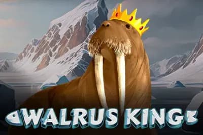 Walrus King