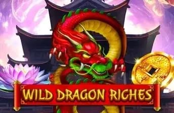 Wild Dragon Riches