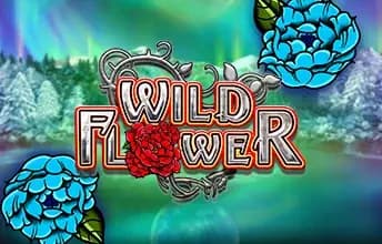 Wild Flower