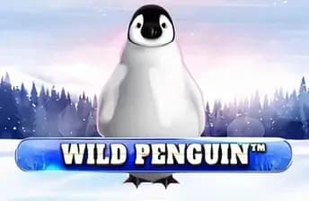 Wild Penguin