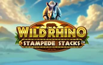 Wild Rhino Stampede Stacks