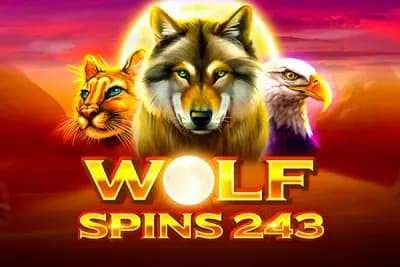 Wolf Spins 243